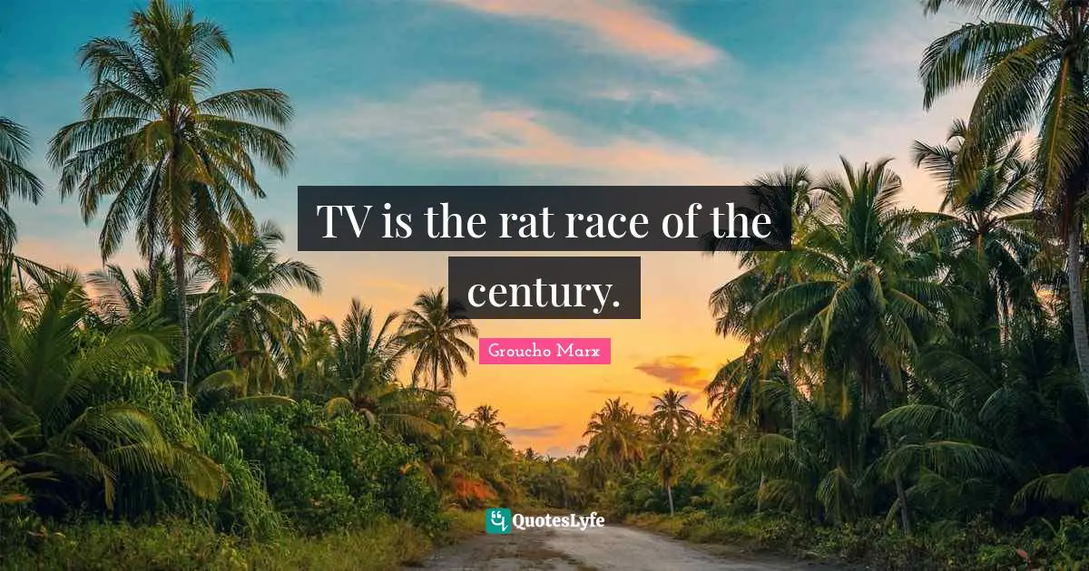 TV is the rat race of the century.