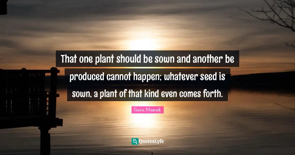 That one plant should be sown and another be produced cannot happen; whatever seed is sown, a plant of that kind even comes forth.