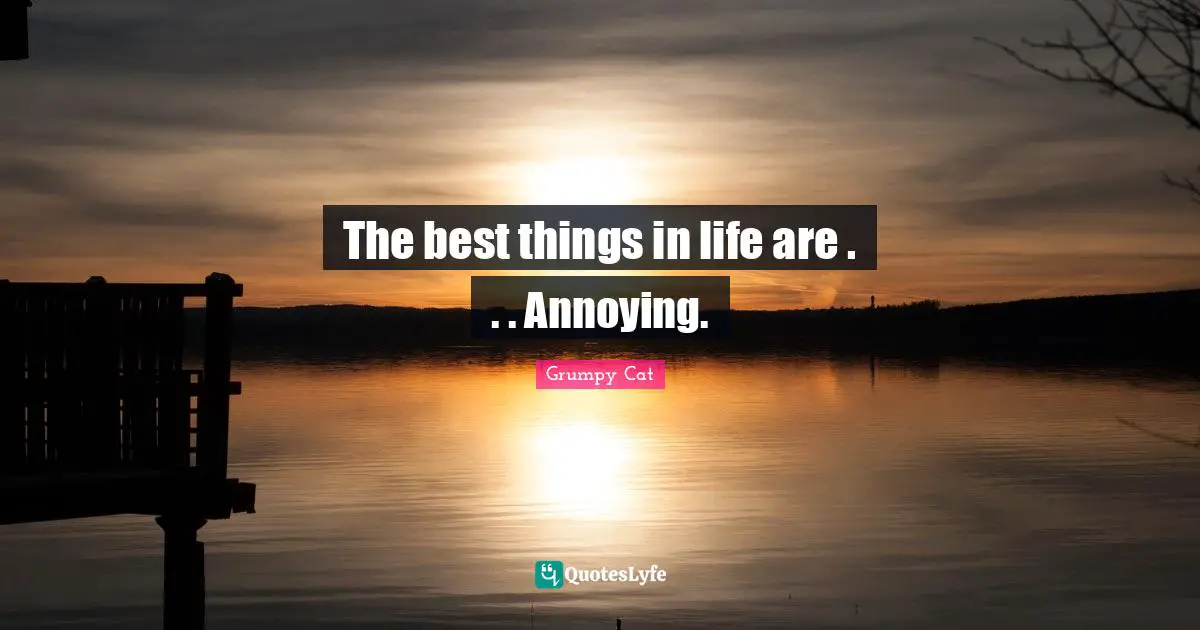 The best things in life are . . . Annoying.