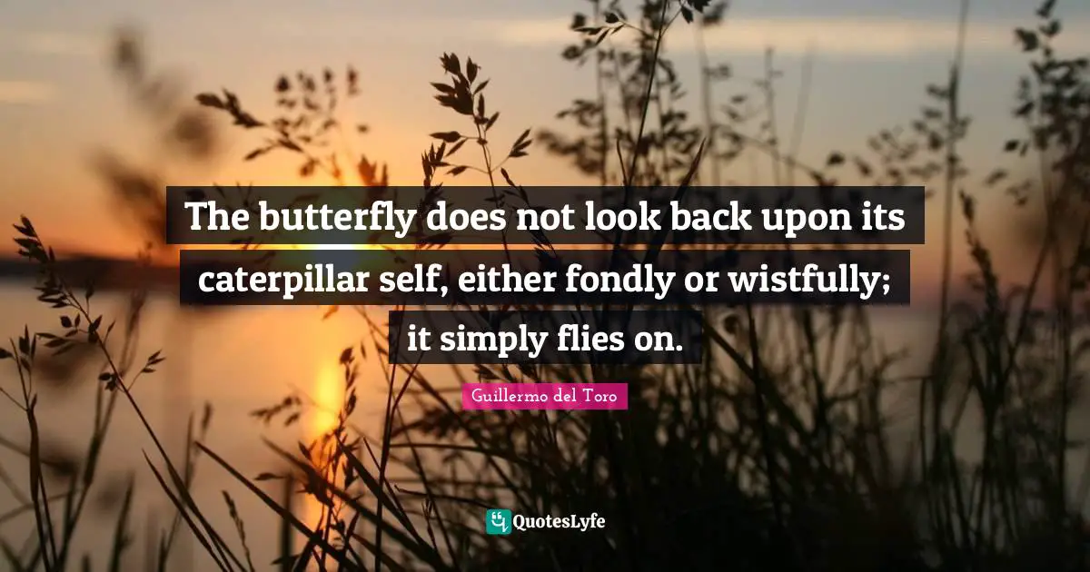 The butterfly does not look back upon its caterpillar self, either fondly or wistfully; it simply flies on.