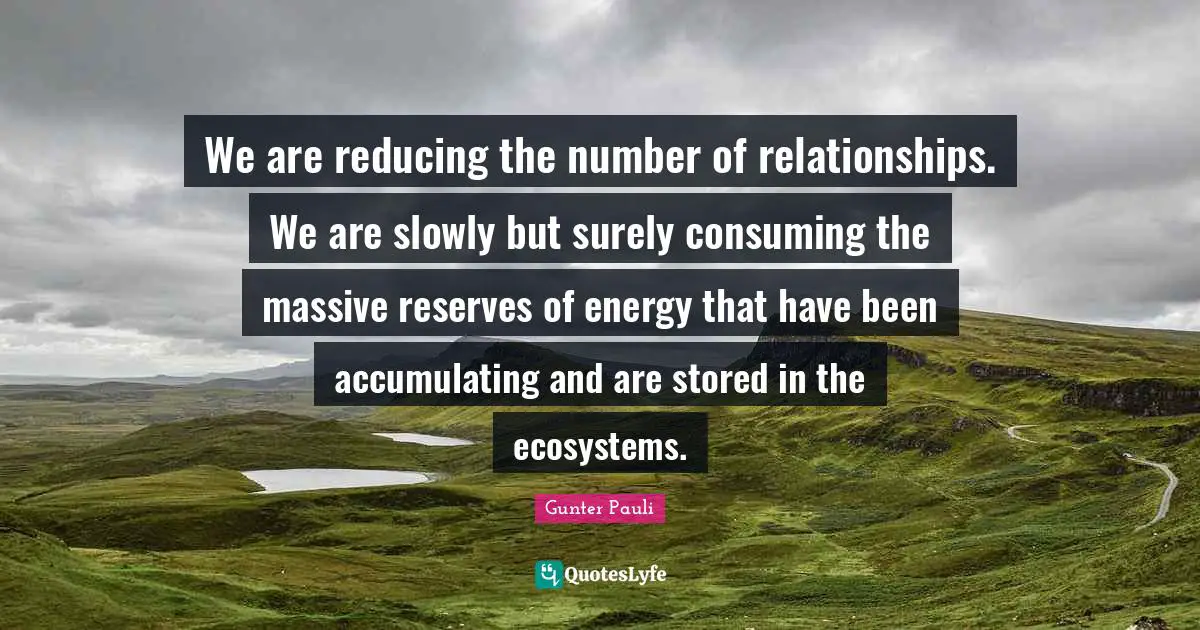 Reserves Quotes: "We are reducing the number of relationships. We are slowly but surely consuming the massive reserves of energy that have been accumulating and are stored in the ecosystems."
