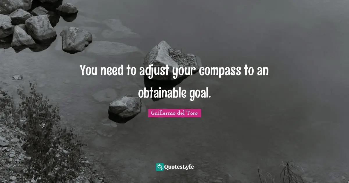 You need to adjust your compass to an obtainable goal.