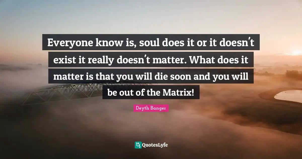 Everyone know is, soul does it or it doesn't exist it really doesn't matter. What does it matter is that you will die soon and you will be out of the Matrix!
