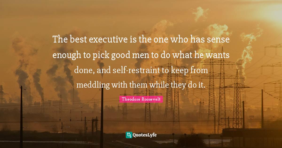 The best executive is the one who has sense enough to pick good men to... Quote by Theodore