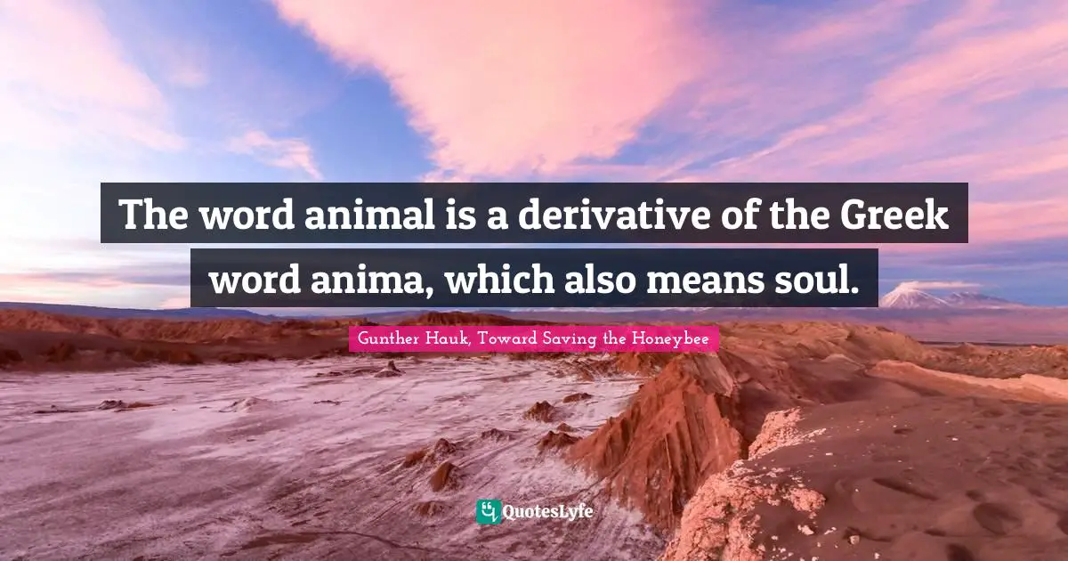 The word animal is a derivative of the Greek word anima, which also means soul.