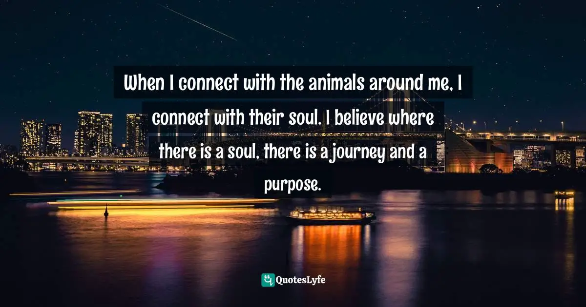 When I connect with the animals around me, I connect with their soul. I believe where there is a soul, there is a journey and a purpose.