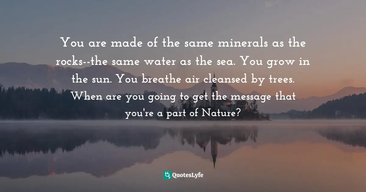 You are made of the same minerals as the rocks--the same water as the sea. You grow in the sun. You breathe air cleansed by trees. When are you going to get the message that you're a part of Nature?
