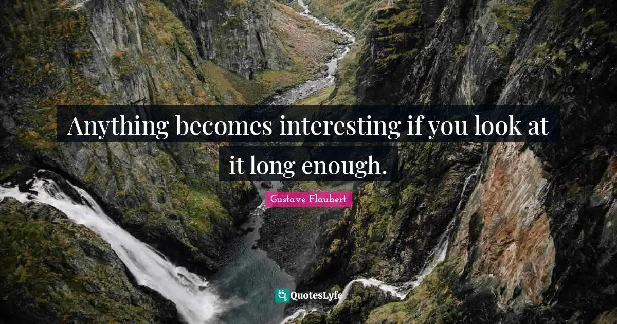 Anything becomes interesting if you look at it long enough.