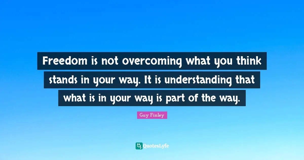Freedom is not overcoming what you think stands in your way. It is understanding that what is in your way is part of the way.