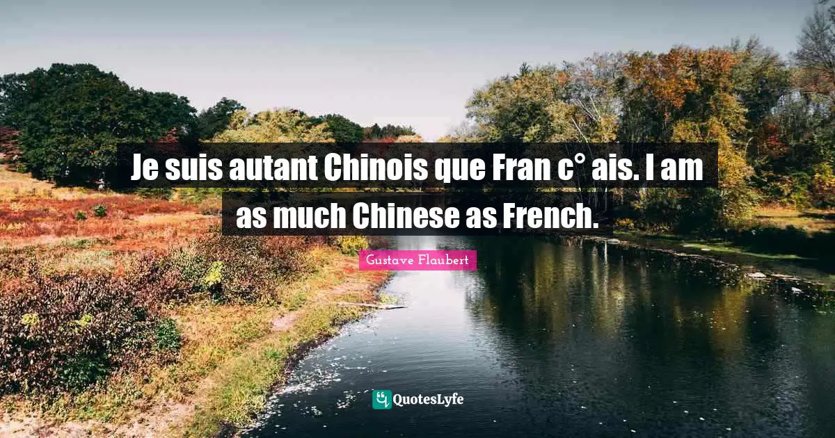 Je suis autant Chinois que Fran c° ais. I am as much Chinese as French.
