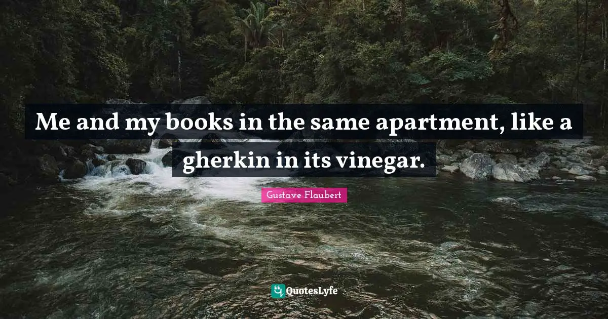 Me and my books in the same apartment, like a gherkin in its vinegar.