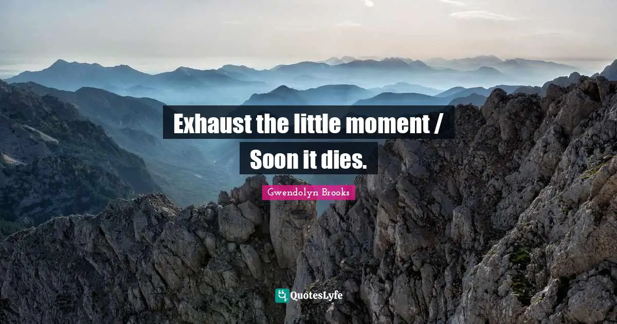 Exhaust the little moment / Soon it dies.