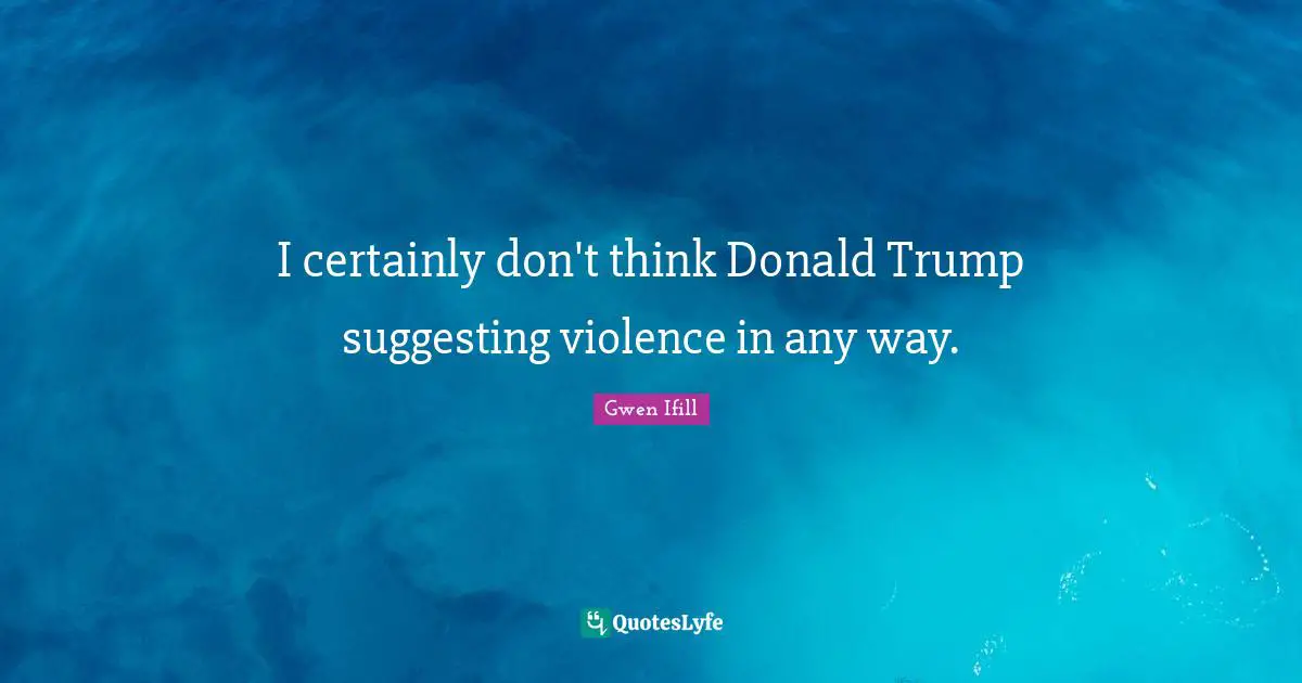 I certainly don't think Donald Trump suggesting violence in any way.