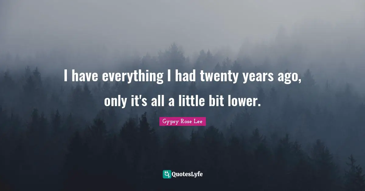 I have everything I had twenty years ago, only it's all a little bit lower.