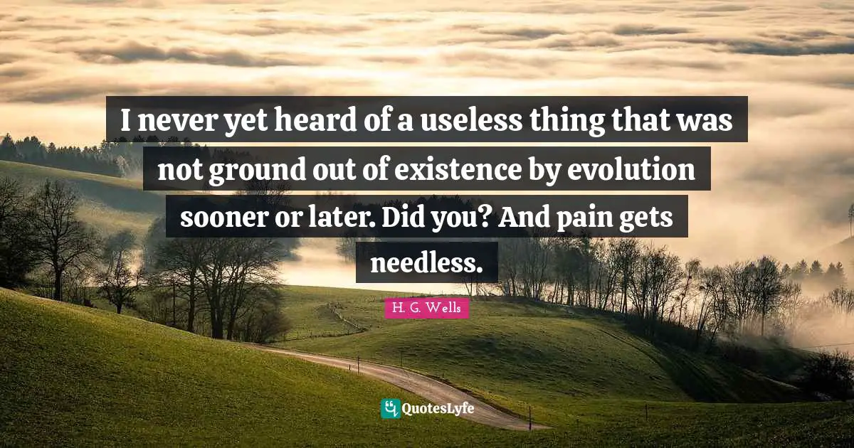 I never yet heard of a useless thing that was not ground out of existence by evolution sooner or later. Did you? And pain gets needless.