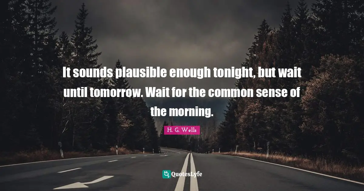 It sounds plausible enough tonight, but wait until tomorrow. Wait for the common sense of the morning.