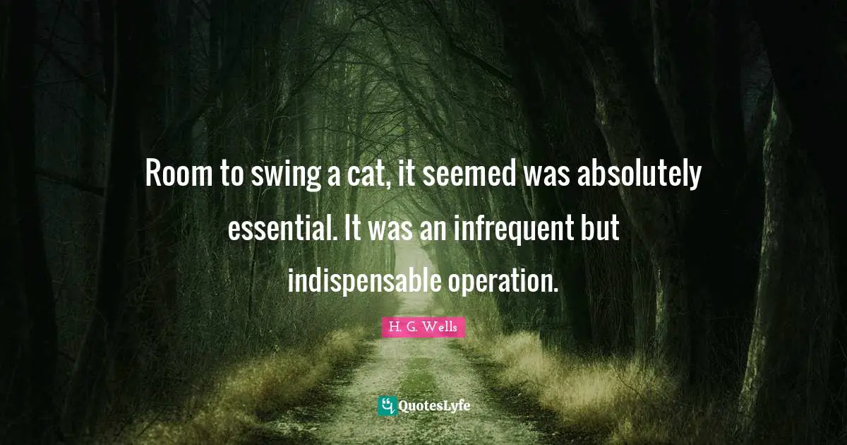 Room to swing a cat, it seemed was absolutely essential. It was an infrequent but indispensable operation.