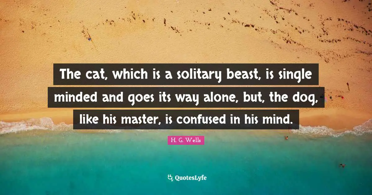 The cat, which is a solitary beast, is single minded and goes its way alone, but, the dog, like his master, is confused in his mind.