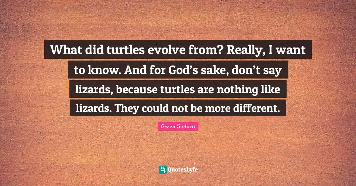 What did turtles evolve from? Really, I want to know. And for God’s sake, don’t say lizards, because turtles are nothing like lizards. They could not be more different.