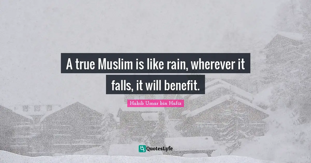 A true Muslim is like rain, wherever it falls, it will benefit.