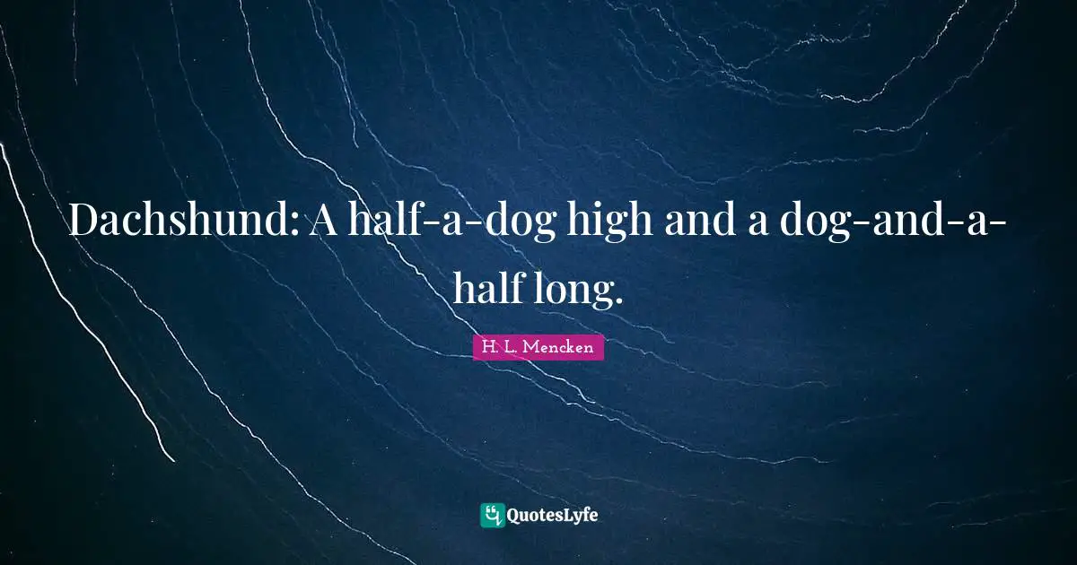 Dachshund: A half-a-dog high and a dog-and-a-half long.