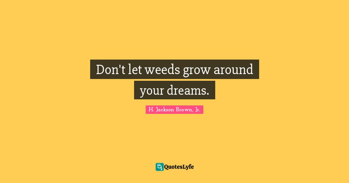 Proactive Quotes: "Don't let weeds grow around your dreams."