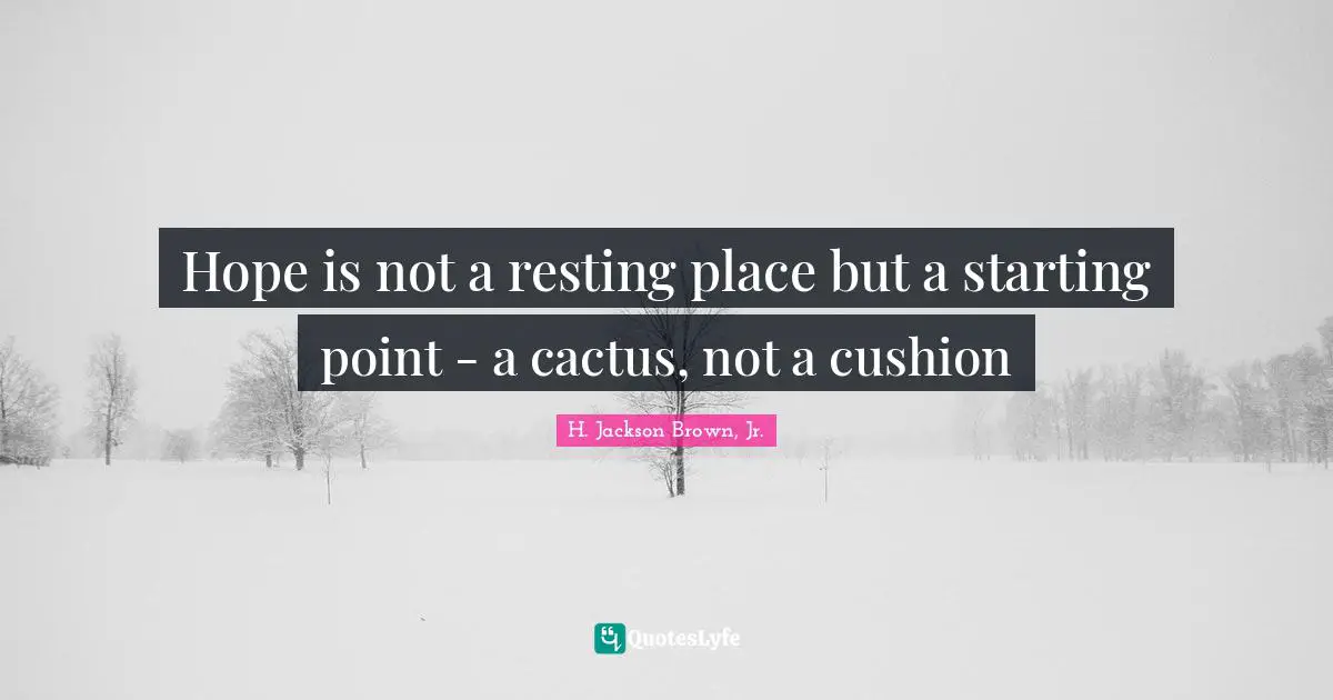 Hope Quotes: "Hope is not a resting place but a starting point - a cactus, not a cushion"