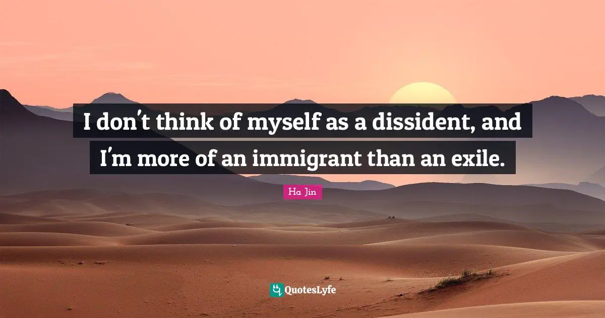 I don't think of myself as a dissident, and I'm more of an immigrant than an exile.