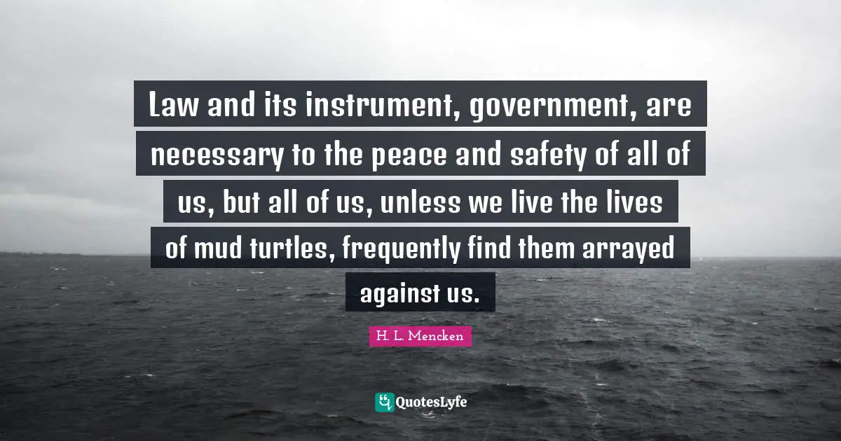 Law and its instrument, government, are necessary to the peace and safety of all of us, but all of us, unless we live the lives of mud turtles, frequently find them arrayed against us.