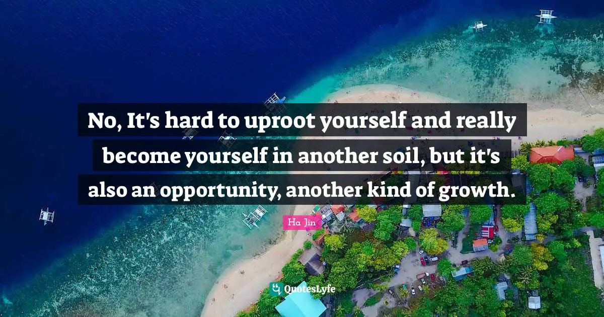 No, It's hard to uproot yourself and really become yourself in another soil, but it's also an opportunity, another kind of growth.