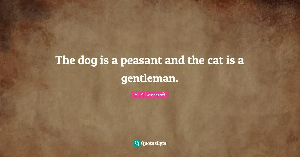 The dog is a peasant and the cat is a gentleman.