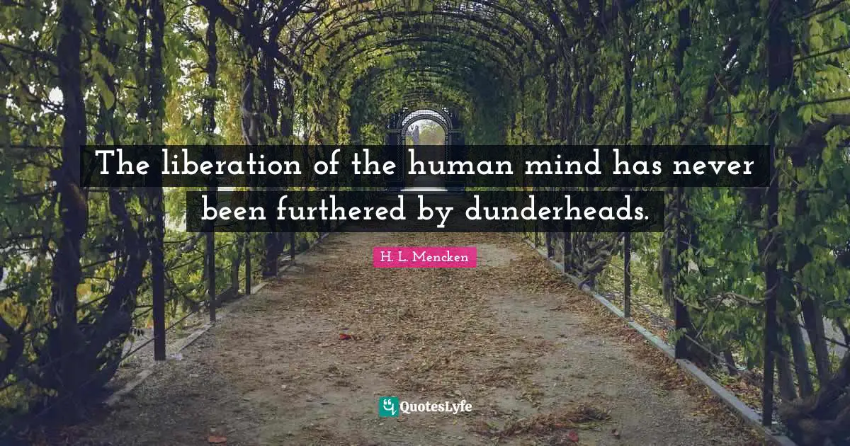The liberation of the human mind has never been furthered by dunderheads.