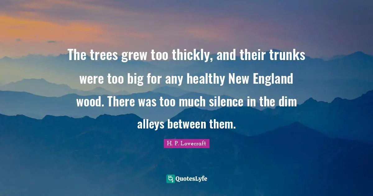 The trees grew too thickly, and their trunks were too big for any healthy New England wood. There was too much silence in the dim alleys between them.