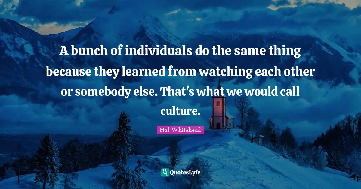 A bunch of individuals do the same thing because they learned from watching each other or somebody else. That's what we would call culture.