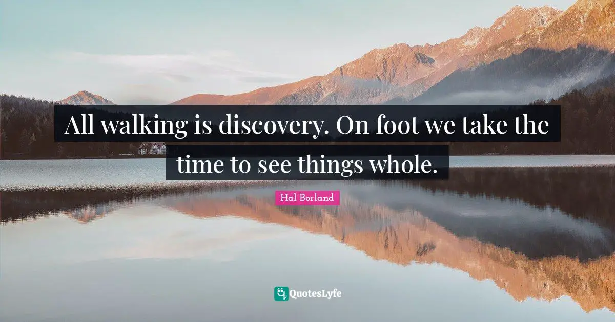 Walking Quotes: "All walking is discovery. On foot we take the time to see things whole."