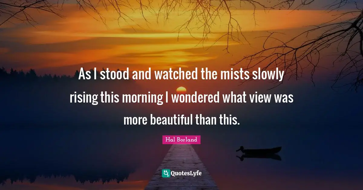 As I stood and watched the mists slowly rising this morning I wondered what view was more beautiful than this.