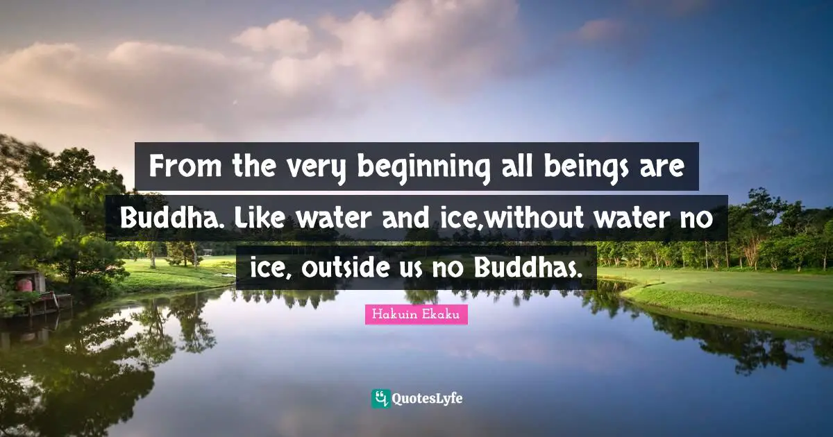 From the very beginning all beings are Buddha. Like water and ice,without water no ice, outside us no Buddhas.