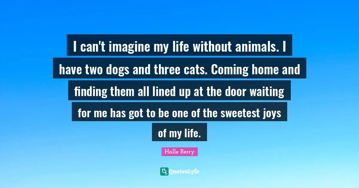 Halle Berry Quotes: "I can't imagine my life without animals. I have two dogs and three cats. Coming home and finding them all lined up at the door waiting for me has got to be one of the sweetest joys of my life."