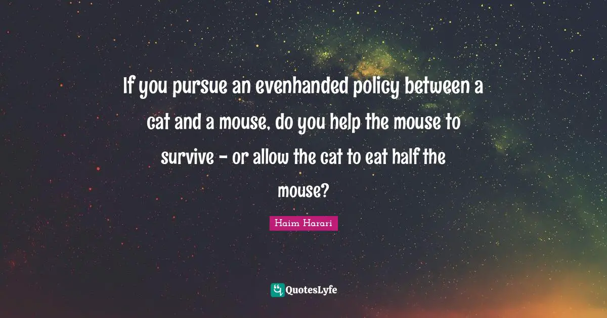 If you pursue an evenhanded policy between a cat and a mouse, do you help the mouse to survive - or allow the cat to eat half the mouse?