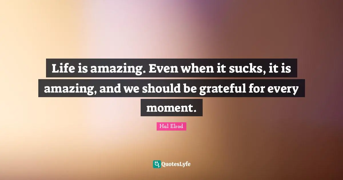 Life is amazing. Even when it sucks, it is amazing, and we should be grateful for every moment.