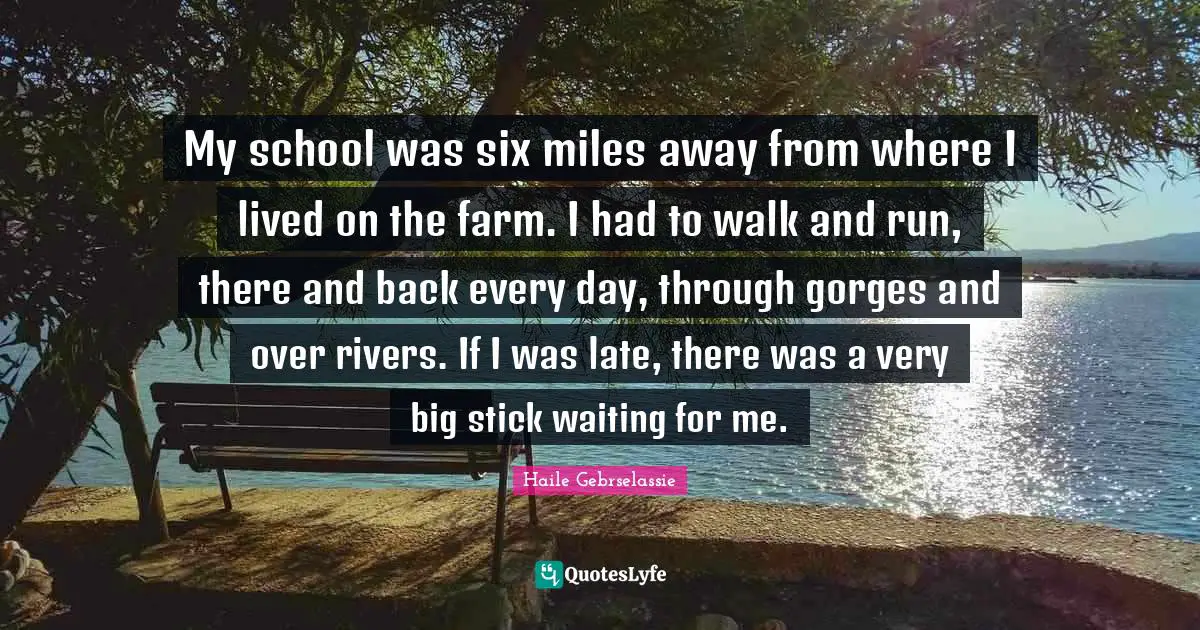 Haile Gebrselassie Quotes: "My school was six miles away from where I lived on the farm. I had to walk and run, there and back every day, through gorges and over rivers. If I was late, there was a very big stick waiting for me."