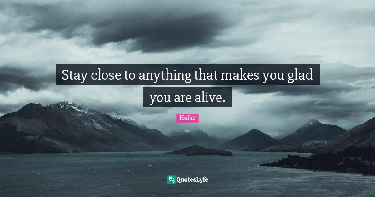Stay close to anything that makes you glad you are alive.