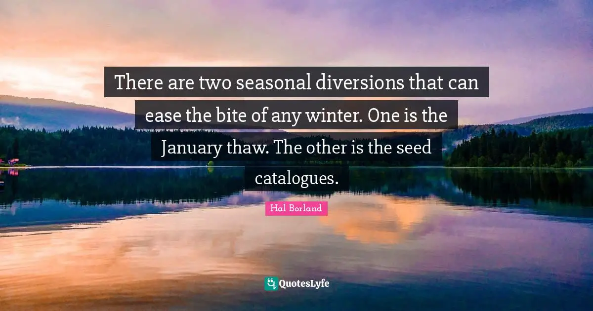 January Quotes: "There are two seasonal diversions that can ease the bite of any winter. One is the January thaw. The other is the seed catalogues."