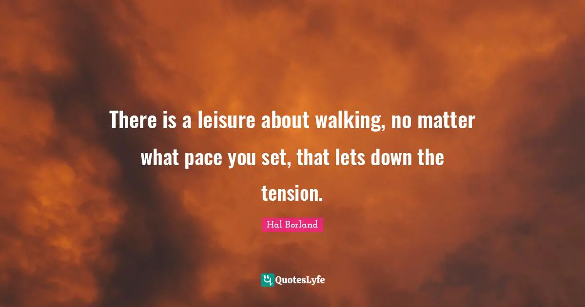 Pace Quotes: "There is a leisure about walking, no matter what pace you set, that lets down the tension."