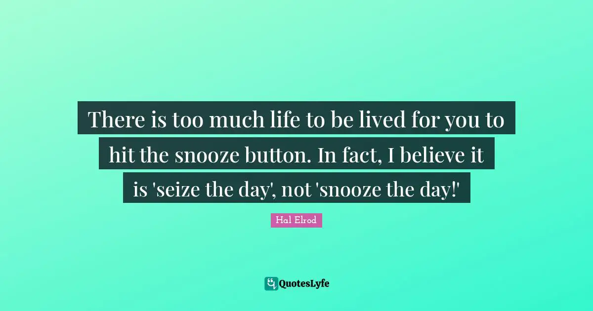 Seize Quotes: "There is too much life to be lived for you to hit the snooze button. In fact, I believe it is 'seize the day', not 'snooze the day!'"