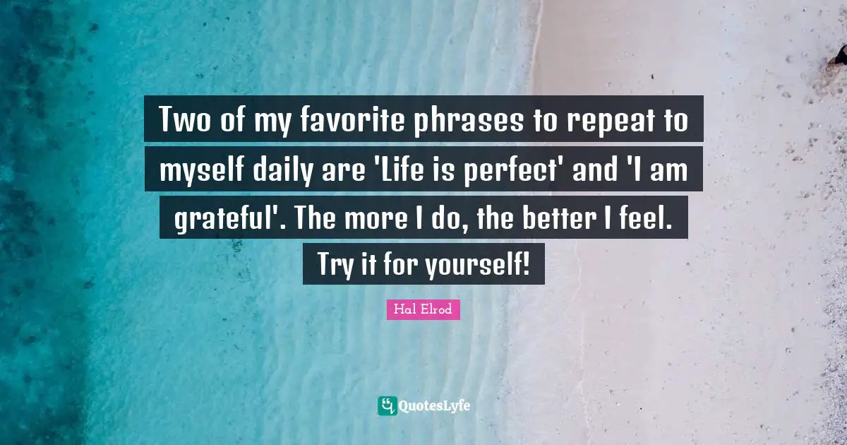 Two of my favorite phrases to repeat to myself daily are 'Life is perfect' and 'I am grateful'. The more I do, the better I feel. Try it for yourself!