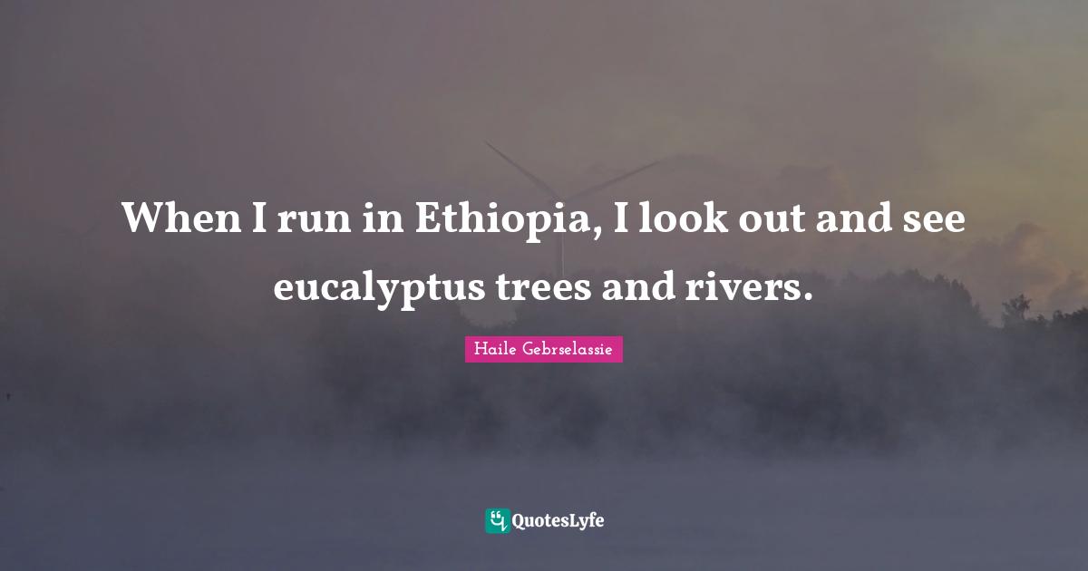 Haile Gebrselassie Quotes: "When I run in Ethiopia, I look out and see eucalyptus trees and rivers."