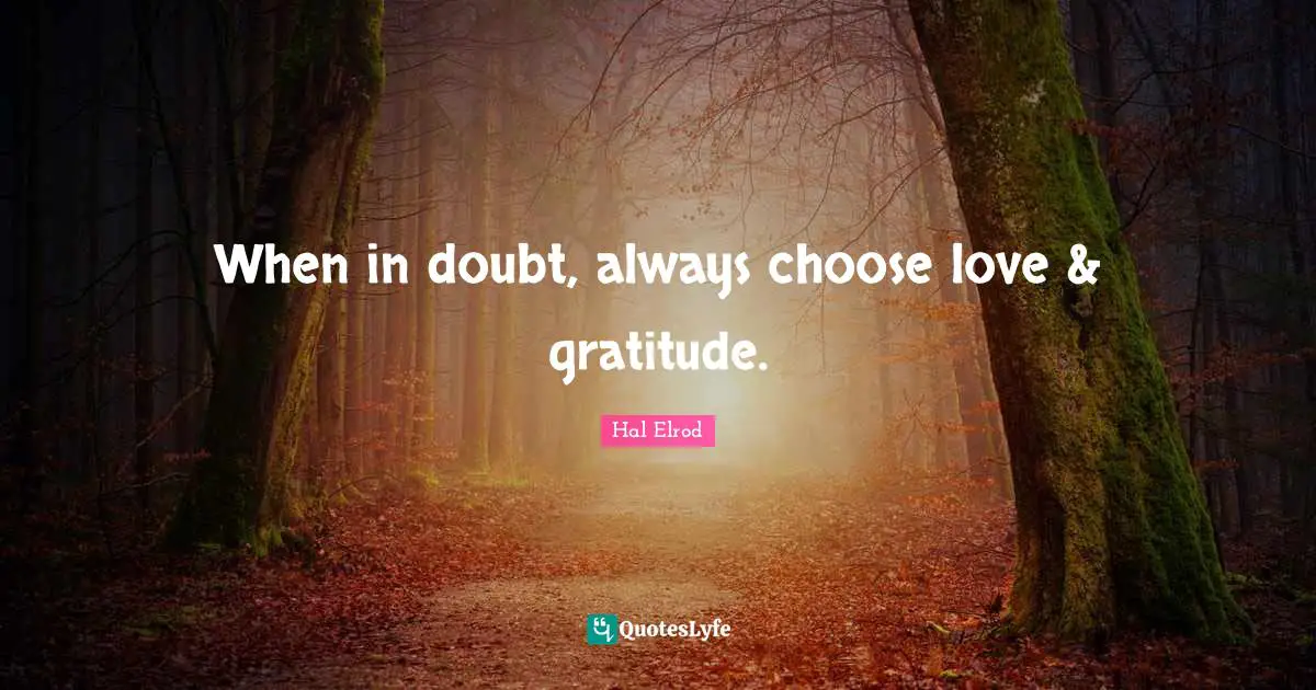 When in doubt, always choose love & gratitude.