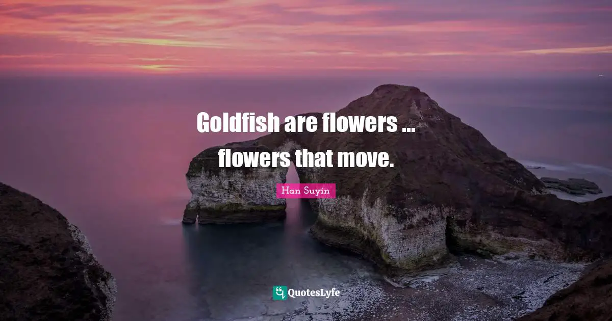 Goldfish are flowers ... flowers that move.