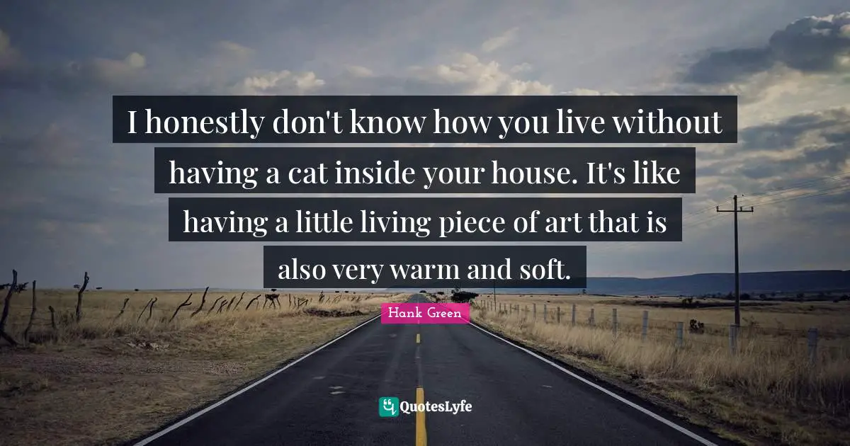 I honestly don't know how you live without having a cat inside your house. It's like having a little living piece of art that is also very warm and soft.